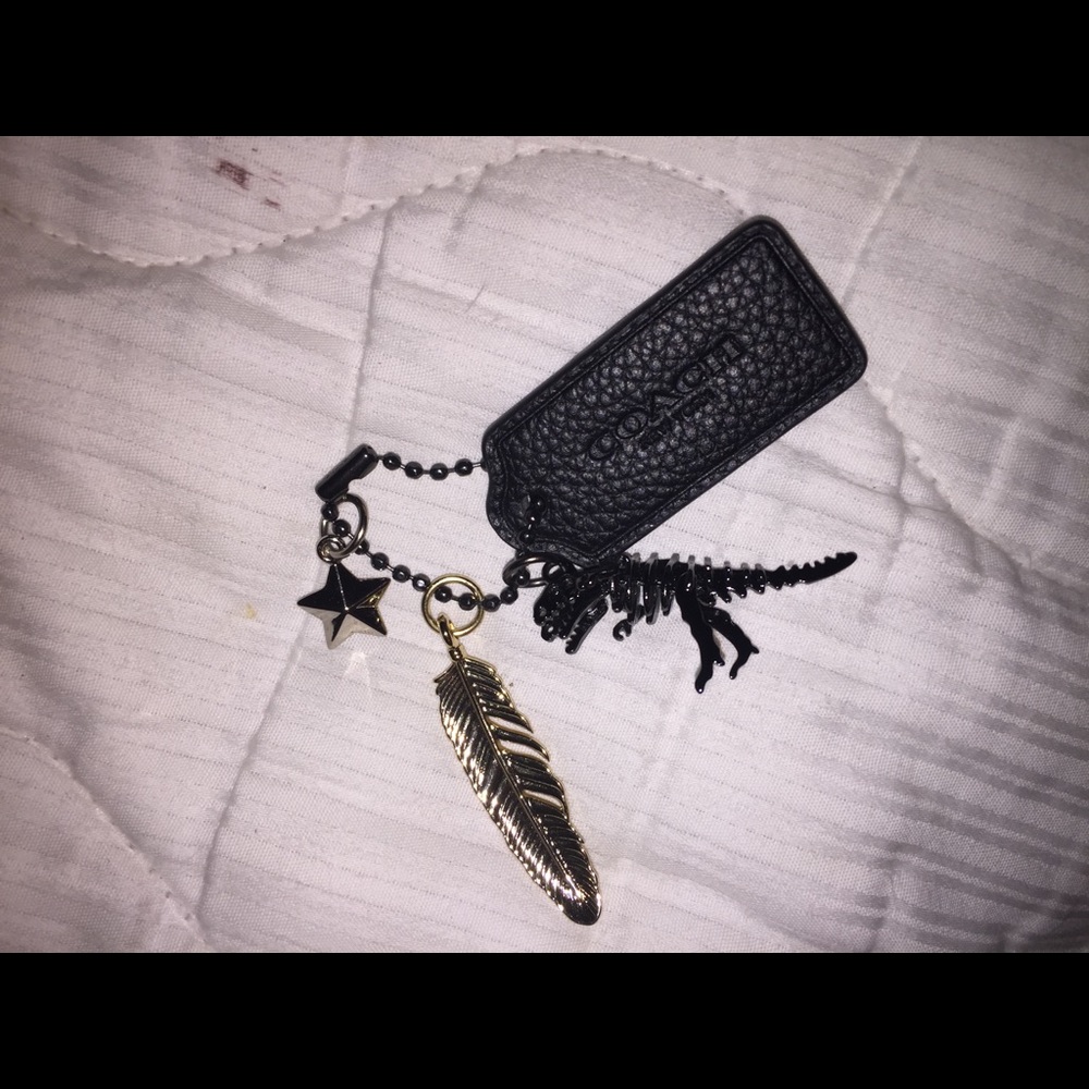 Dinosaur 🦖 Rexy hangtag Only